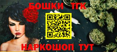 индика Шелехов