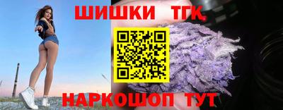 индика Шелехов